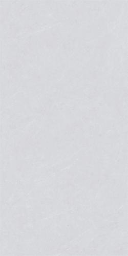 K12109